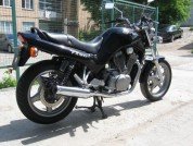 SUZUKI VX800 фото 3 SUZUKI VX800 фото 3