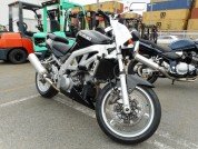 SUZUKI SV1000 фото 1 SUZUKI SV1000 фото 1