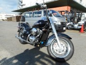 KAWASAKI VULCAN 400 CLASSIC фото 1 KAWASAKI VULCAN 400 CLASSIC фото 1