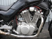 SUZUKI VX800 фото 4 SUZUKI VX800 фото 4