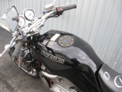 SUZUKI VX800 фото 10 SUZUKI VX800 фото 10