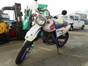 YAMAHA TT250R RAID фото 2 YAMAHA TT250R RAID фото 2