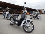 HONDA LITTLE CUB 50 фото 2 HONDA LITTLE CUB 50 фото 2