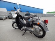 HONDA LITTLE CUB 50 фото 3 HONDA LITTLE CUB 50 фото 3