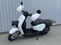 HONDA BENLY 50 PRO