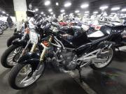 SUZUKI GOOSE 350