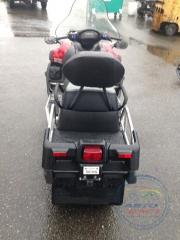 YAMAHA VIKING RS PROFESSIONAL 1000