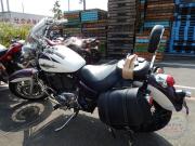 HONDA SHADOW 1100 AMERICAN CLASSIC EDITION