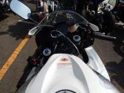 HONDA CBR600RR