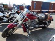 HARLEY-DAVIDSON V-ROD VRSCA