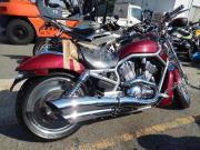 HARLEY-DAVIDSON V-ROD VRSCA