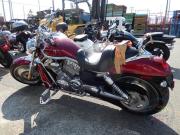 HARLEY-DAVIDSON V-ROD VRSCA