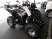 BUGGY BUGGY
