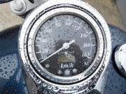 SUZUKI INTRUDER 800 CLASSIC