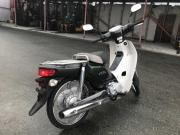 HONDA SUPER CUB 50