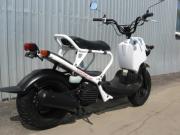 HONDA ZOOMER 50