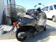 HONDA TODAY F