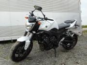 YAMAHA FZ1 N