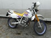 SUZUKI DJEBEL 250 XC