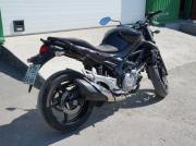 SUZUKI GLADIUS 650