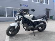 SUZUKI GLADIUS 650