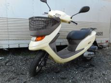 HONDA DIO CESTA