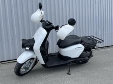 HONDA BENLY 50 PRO