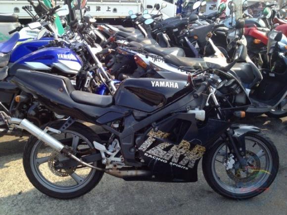 YAMAHA TZR50R