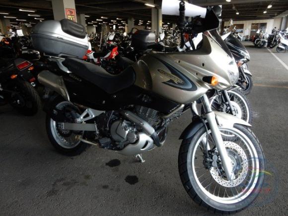SUZUKI XF650 FREE WIND