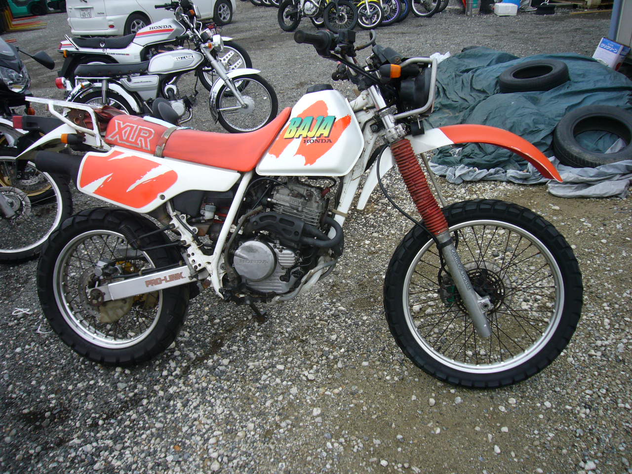 Хонда хлр 250. XLR 250 Baja. Запчасти Honda Baja XLR. Honda Baja ветровик.