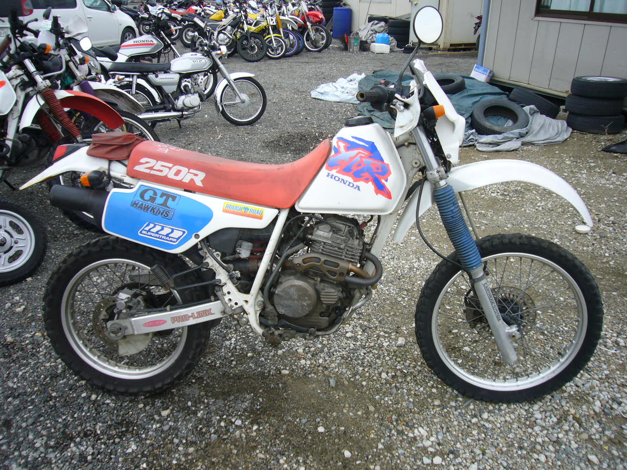 Хонда хлр 250. Honda XLR 250r. XLR 250 Baja.