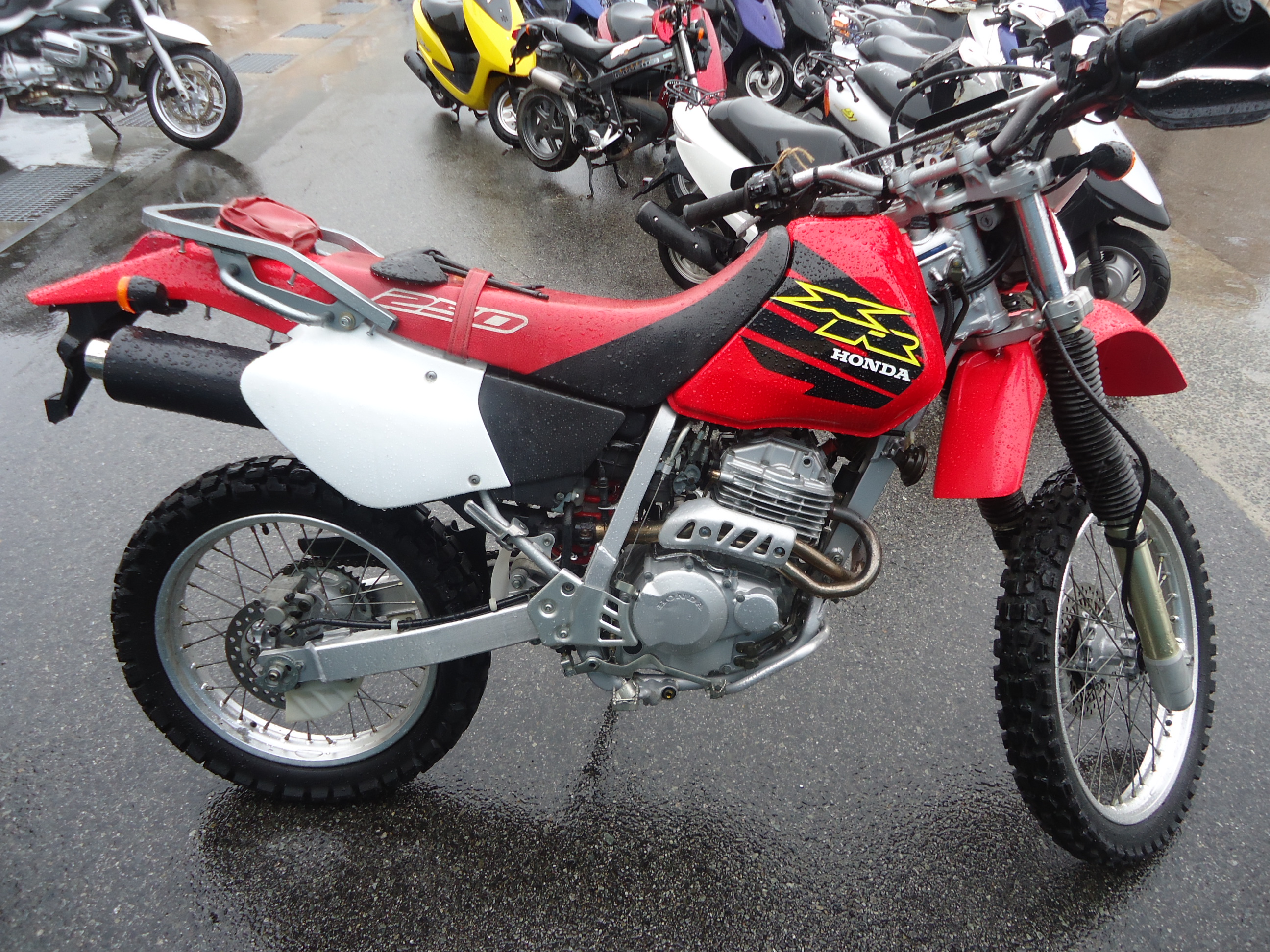 Xr 250 купить