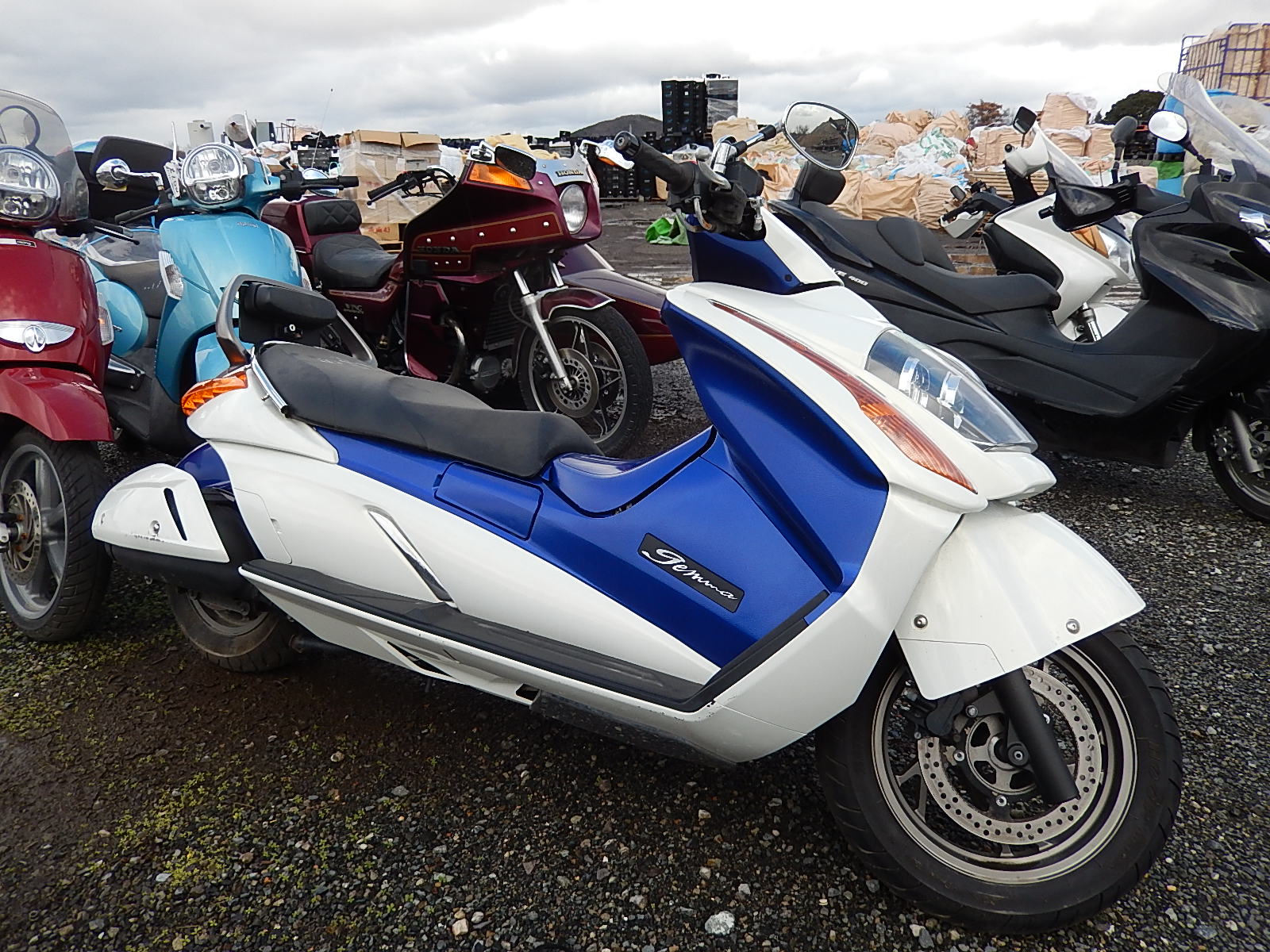SUZUKI GEMMA