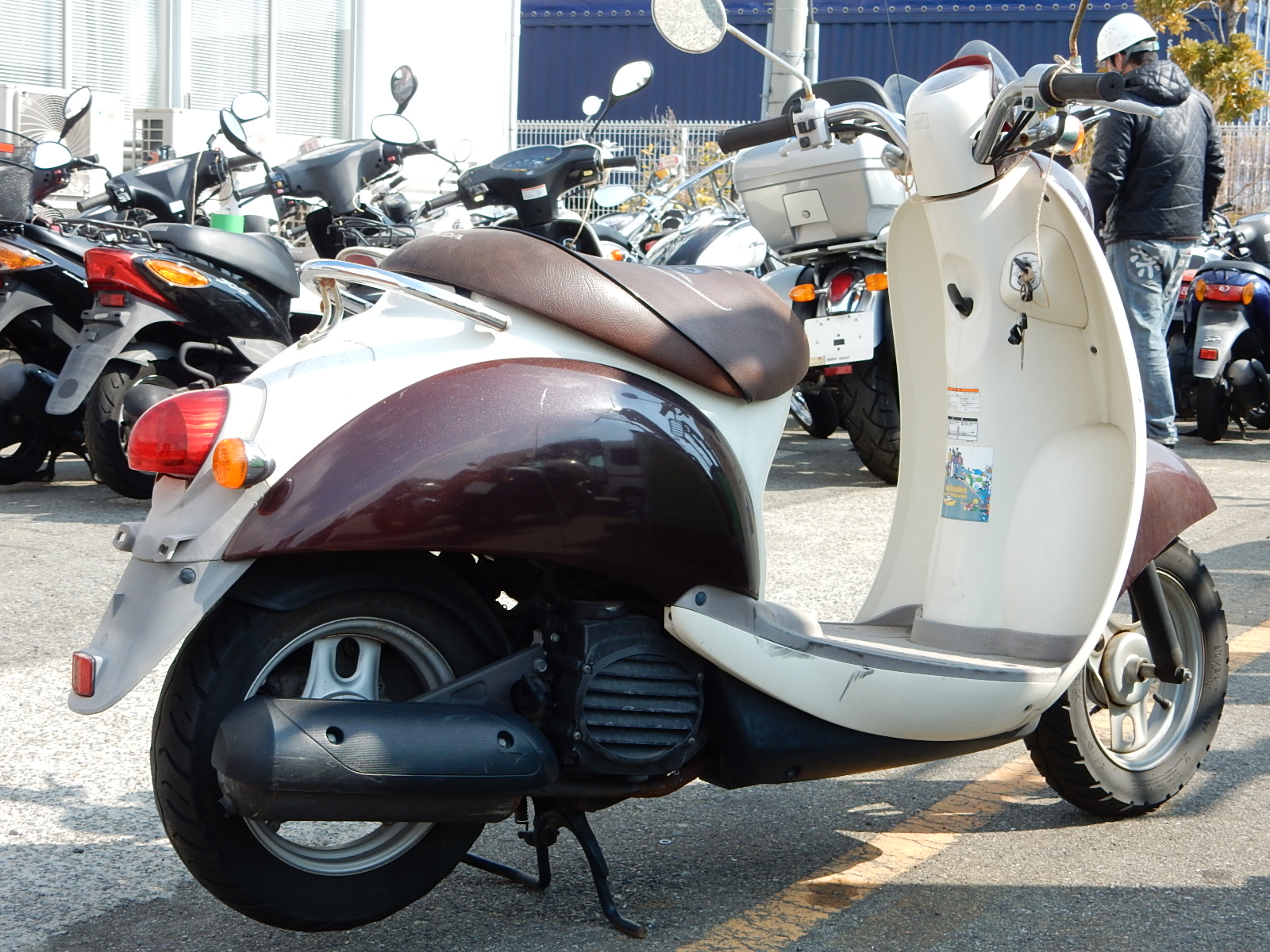 Honda crea Scoopy Ruckus